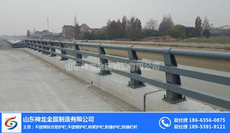 防撞景觀護欄廠價 山東神龍金屬防撞護欄