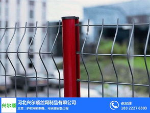 球場護欄網(wǎng)生產(chǎn)廠家 興爾順絲網(wǎng)制品公司 四川球場護欄網(wǎng)高清圖片 高清大圖