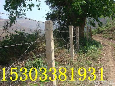 公路護欄網(wǎng) 工地護欄網(wǎng) 軋花網(wǎng)廠家 圍欄網(wǎng) 勾花網(wǎng)重量 波浪護欄網(wǎng) 公路護欄網(wǎng)報價 圖片_高清圖_細節(jié)圖-河北華光交通設施 -